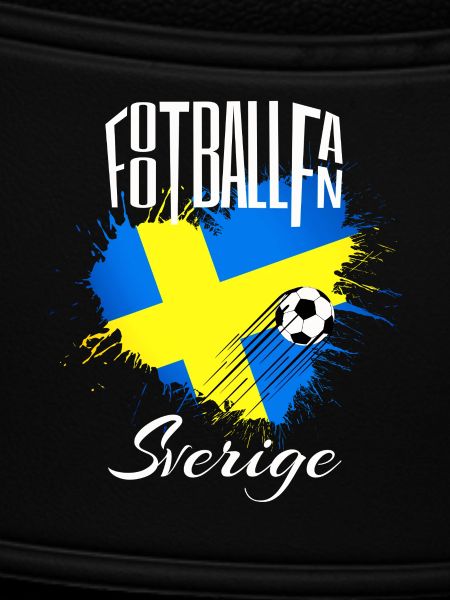 Fussball Fan Schweden