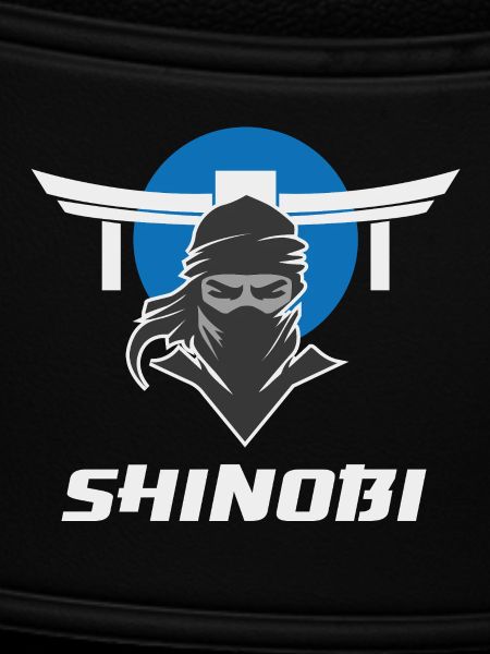 Shinobi Ninja Martial Arts