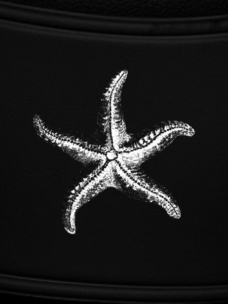 White Starfish Silhouette