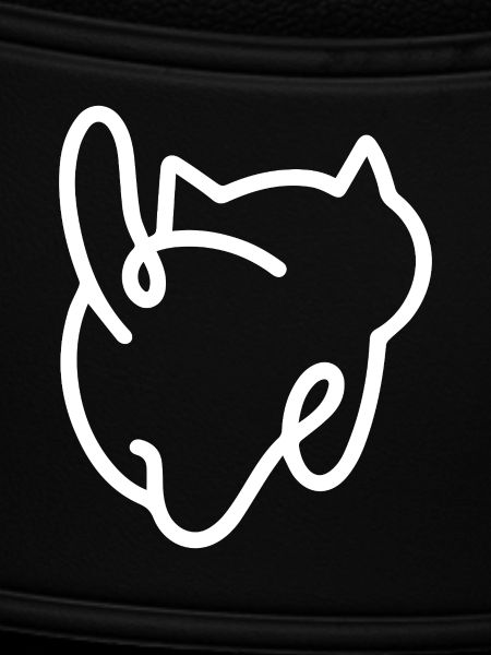 Katze von hinten mit Schwanz