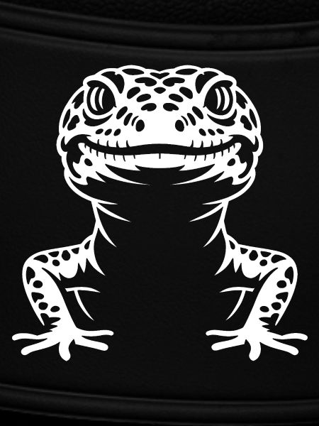 Gecko Silhouette Kontrast