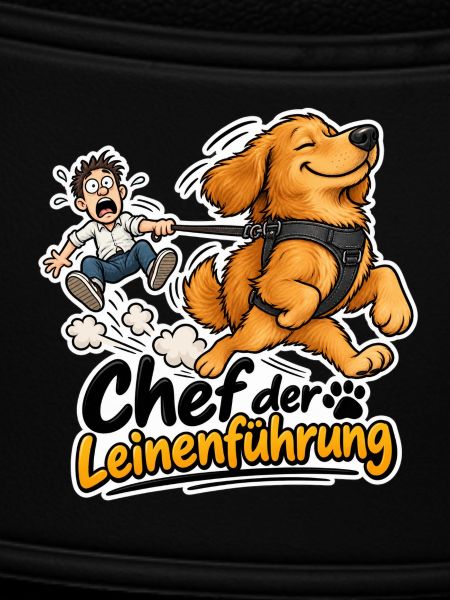 Chef der Leinenführung