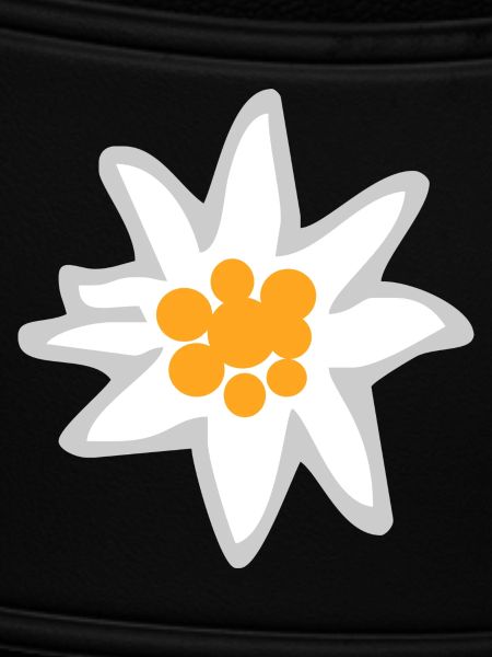 Edelweiss