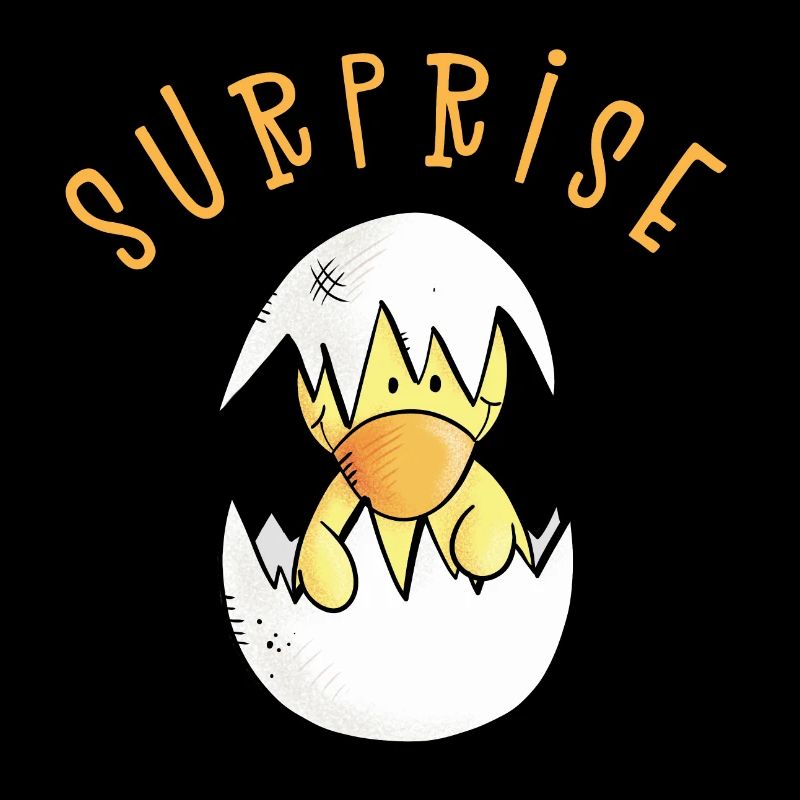 Surprise I chick egg I pregnancy gift