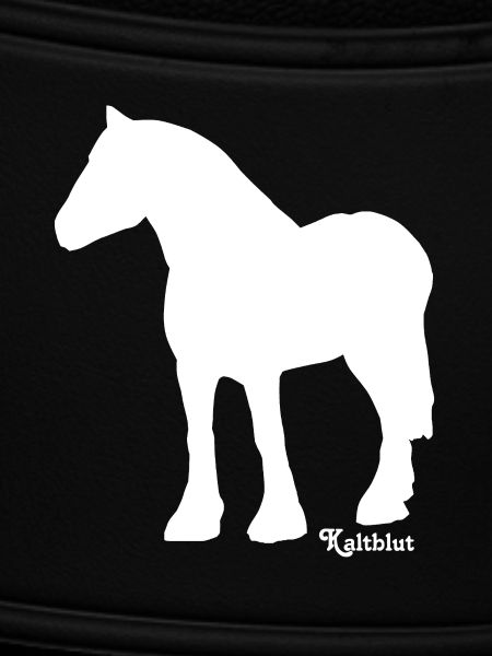 schimmel-kaltblut