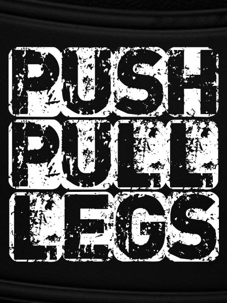 PUSH PULL LEGS