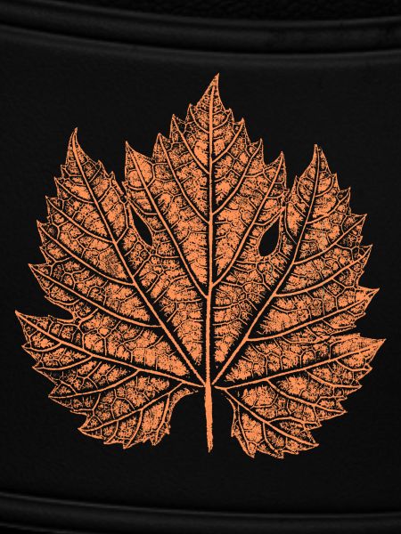 Wine / Leaf / Autumn