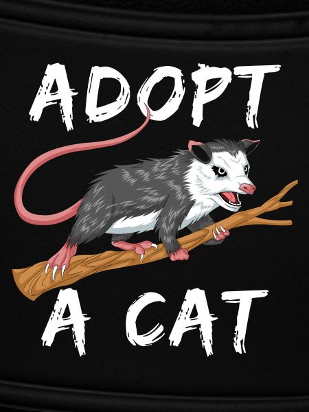 adopter un chat