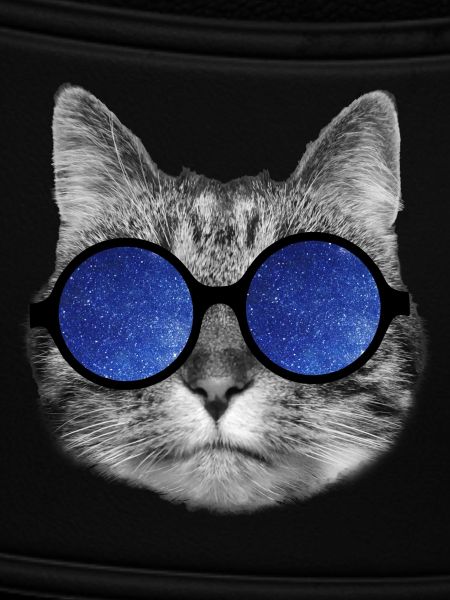Galaxy cat