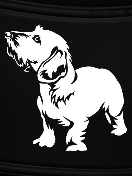 Dachshund "Black Edition"