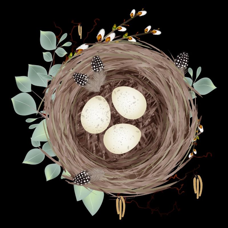 Bird's nest or Easter nest with three eggs and feathers