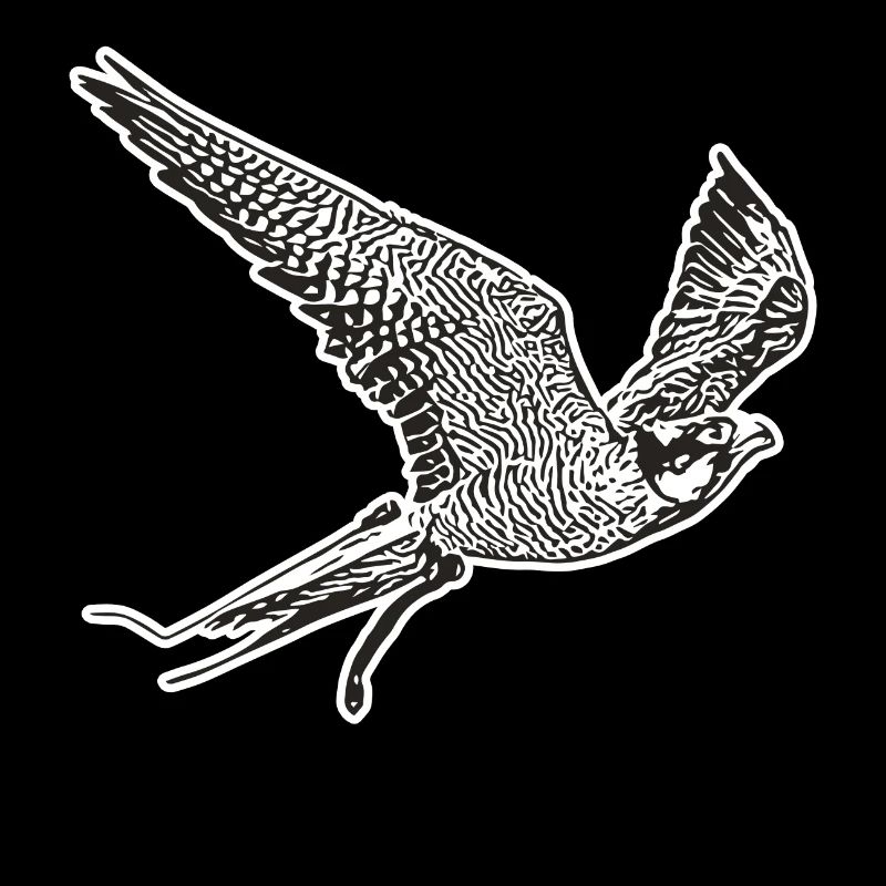 Falcon in flight