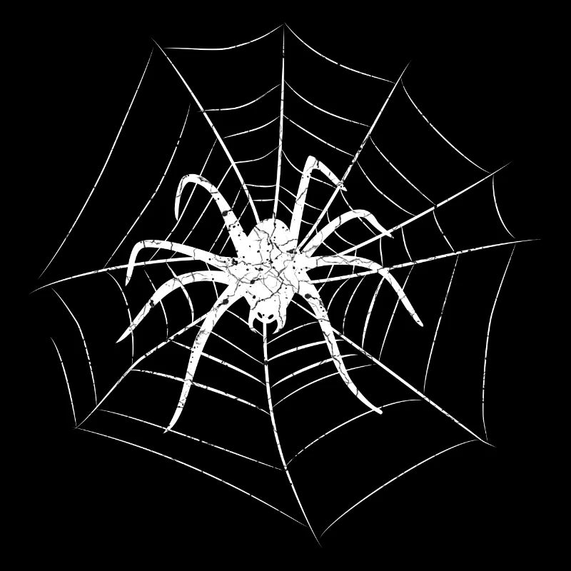 Araignée Halloween