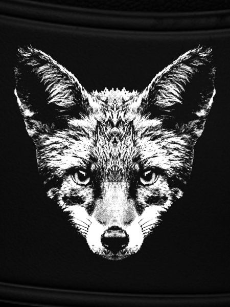 Fuchs / Fox / Kopf / Rotfuchs