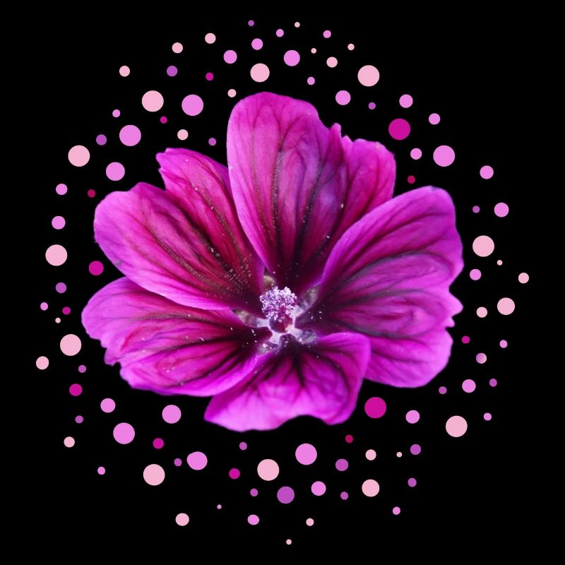 Malve lila Blüte