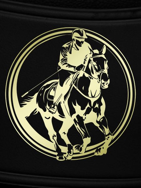 Riding Horse Silhouette