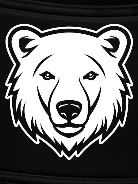 Eisbär Kopf Polar bär