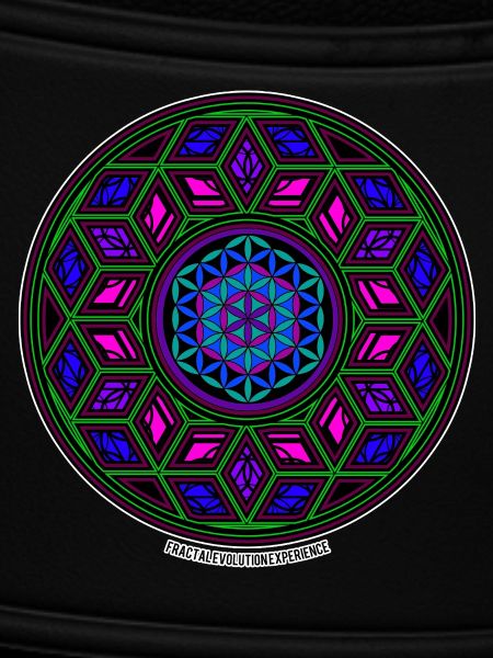 Expérience d’évolution fractale Kaléidoscope Mandala