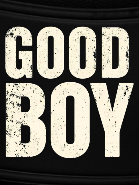 Good boy.