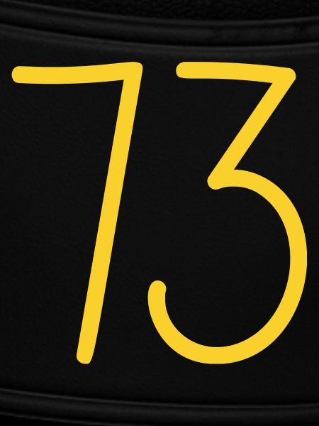 73