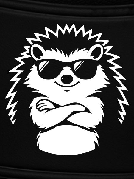 Cooler Igel mit Sonnenbrille