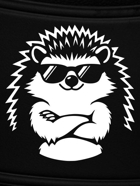 Cool hedgehog with sunglasses