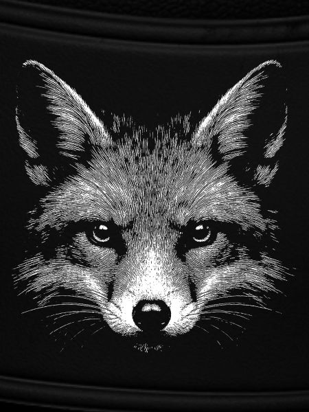 Red fox