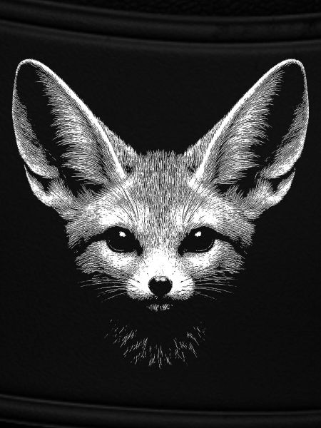 Fennec