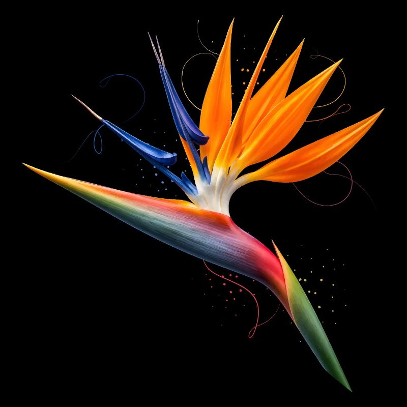 Paradiesvogelblume Exotisches Florales Design