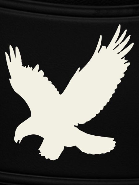 Eagle silhouette in flight