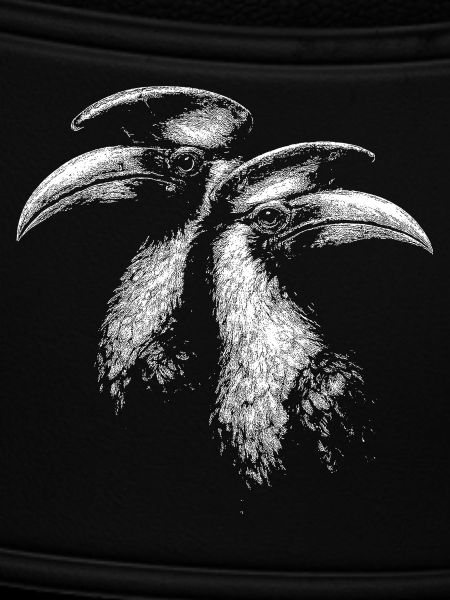 Hornbills
