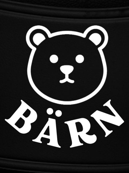 Bärn Bär Schweiz