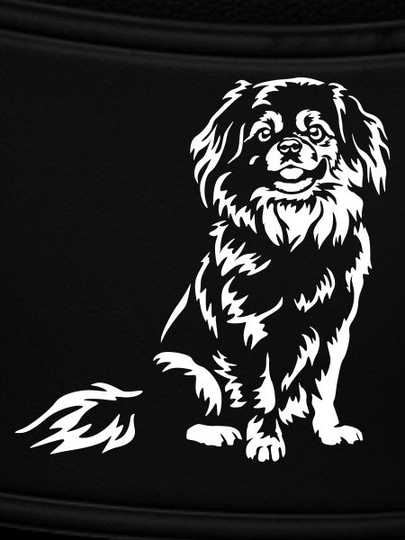 Tibetspaniel "Black Edition"