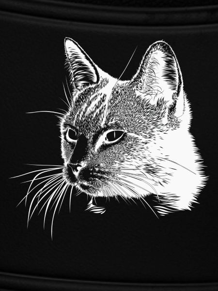 Cat head - White