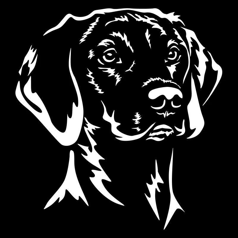 Tête de Magyar Vizsla « Black Edition »
