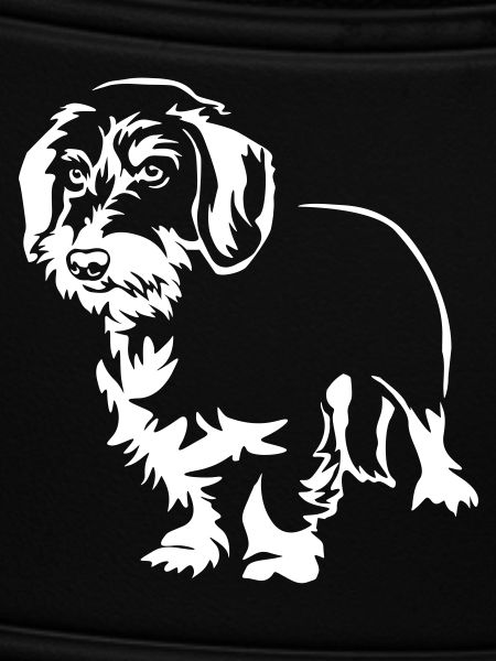 Dachshund "Black Edition"