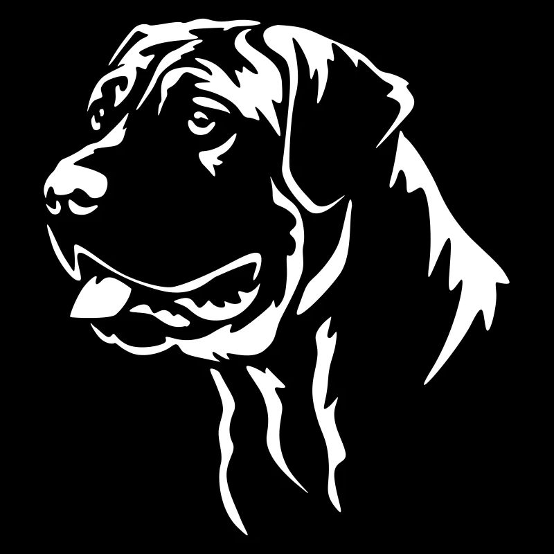 Presa Canario Head « Black Edition »