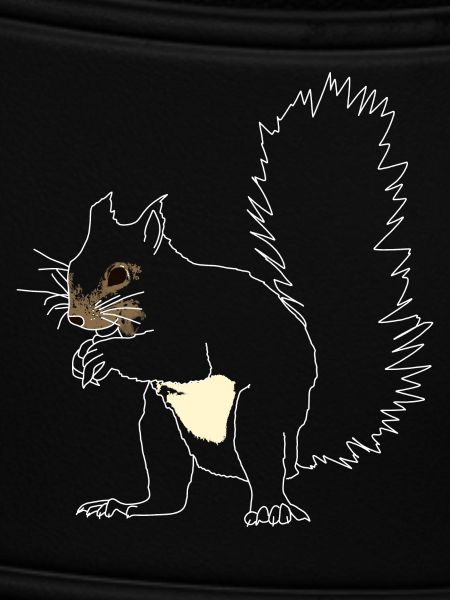Eichhörnchen lineart