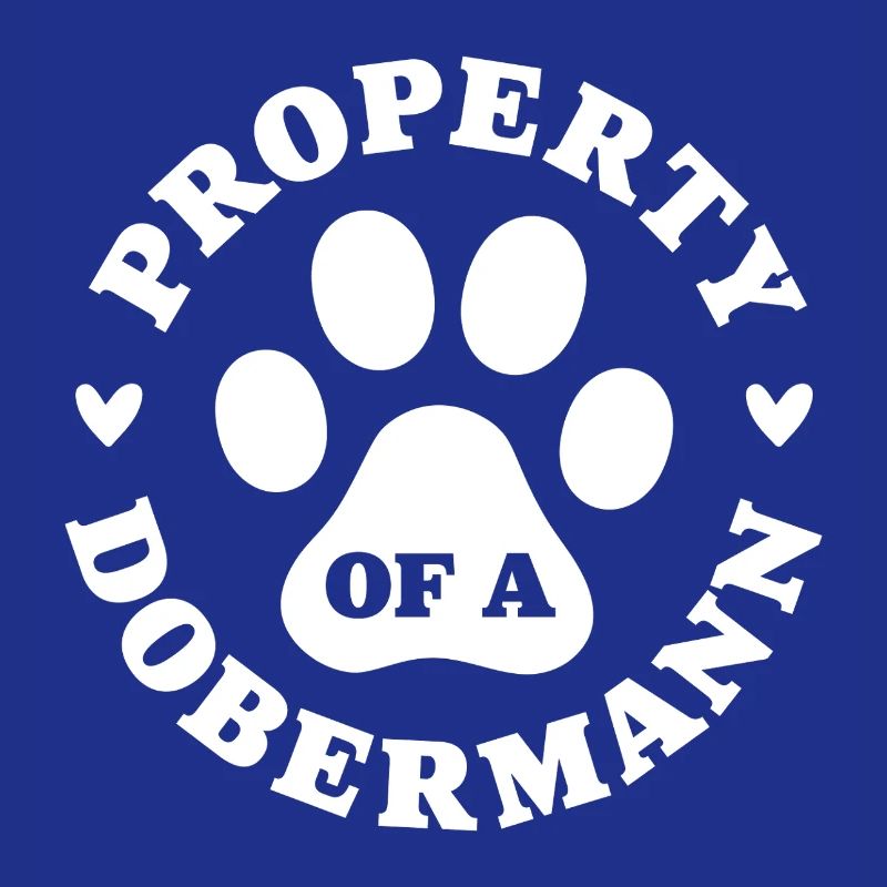 Propriété d’un Dobermann