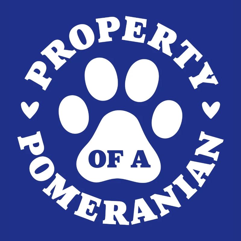 Eigentum eines Zwergspitzs