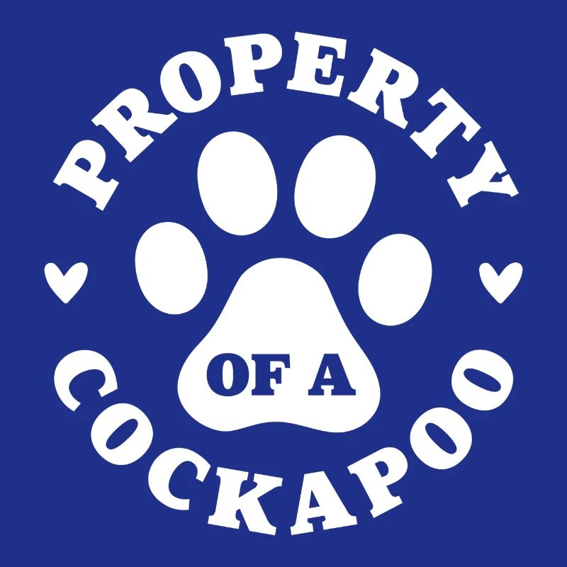 Propriété d’un Cockapoo