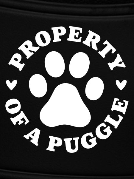 Eigenschaft eines Puggle