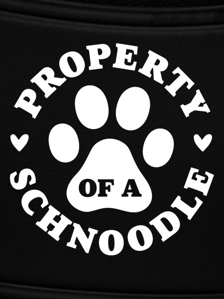Eigentum eines Schnoodles