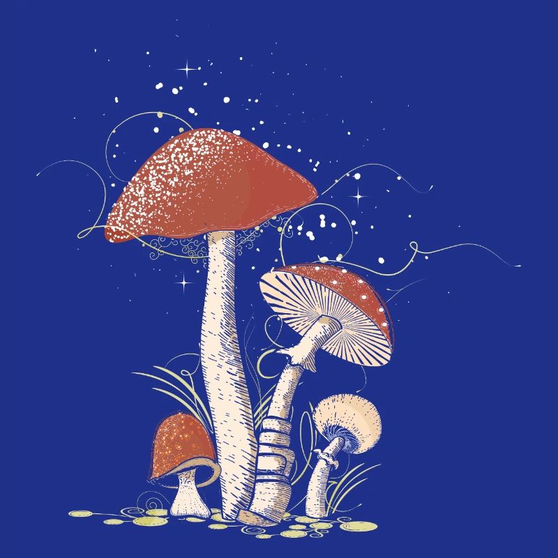 Magical toadstools in the forest illustrated