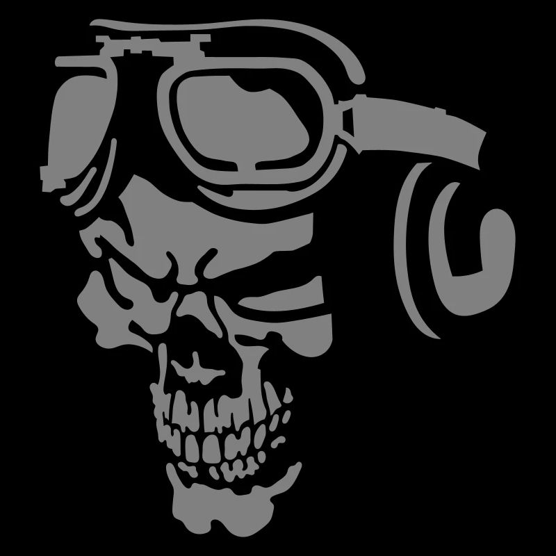 Skull Pilot