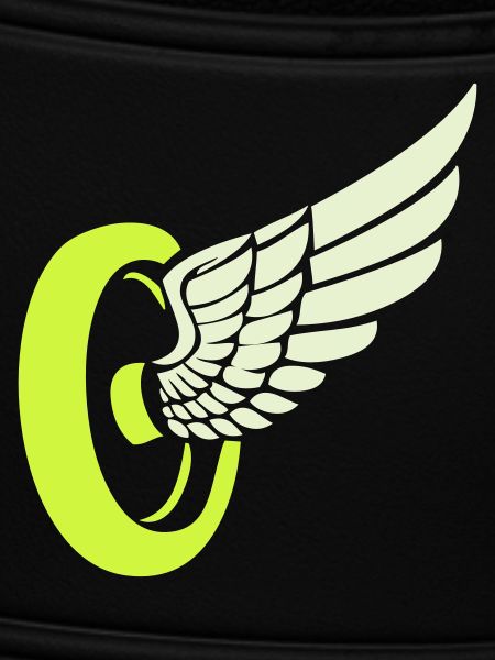 Wheel Wing