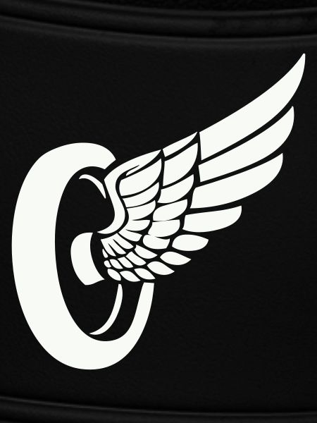 Tire Wings