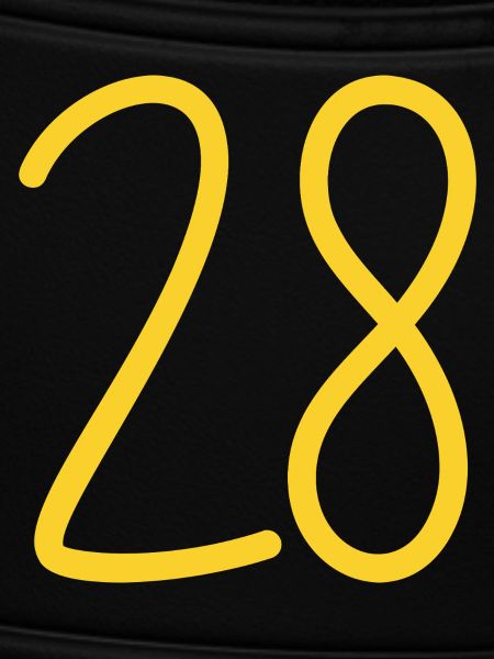 28