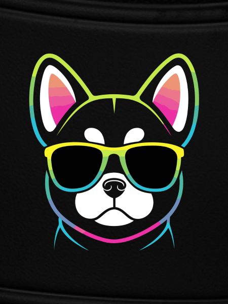Regenbogenhund mit Brille