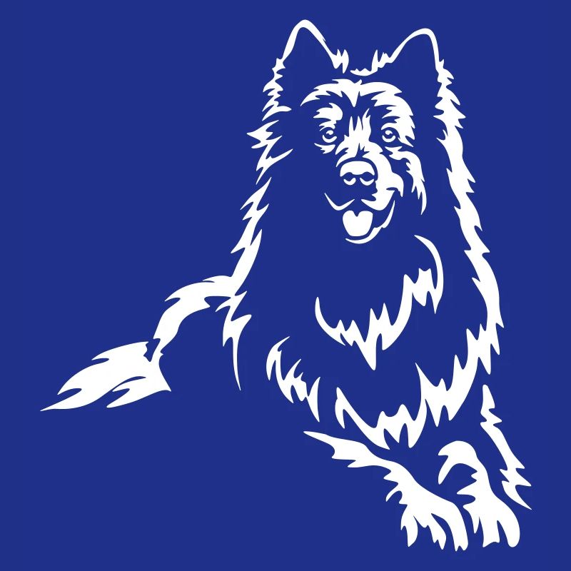 Schweizer Schäferhund "Black Edition"